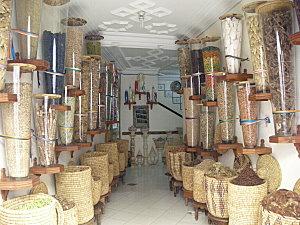 Le retour... DSCN4013