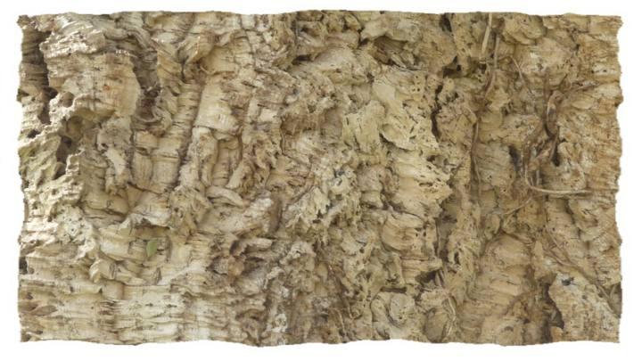 l1 L’arbre à bouchons