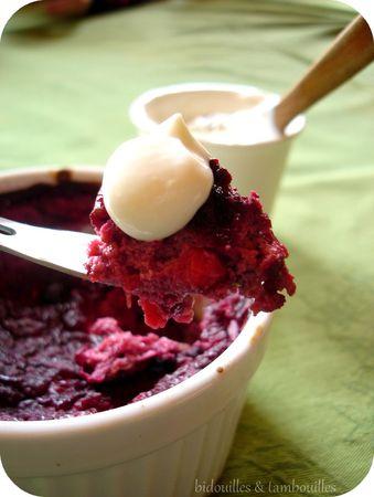 °pain & fruit rouge° pouding_fruits_rouges_080410