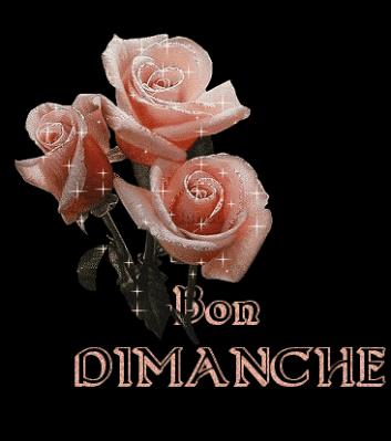 POUR RETROUVER 2560468227_1