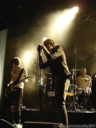 14/04/10 - Toulouse - Black Joe Lewis en concert... shakingheads3