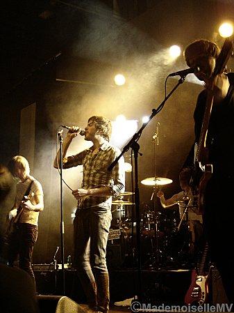 14/04/10 - Toulouse - Black Joe Lewis en concert... shakingheads9