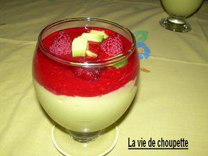 PANNA COTTA AVOCAT-FRAMBOISES 011