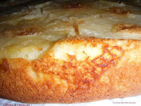 Gâteau à l'ananas DSCF4773