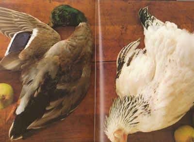 p Canard, lapin, poulet