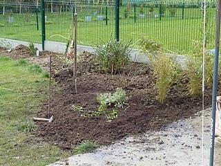 Que fait Prunille ? elle est au jardin !!! Que fait Prunille ? elle est au jardin !!!