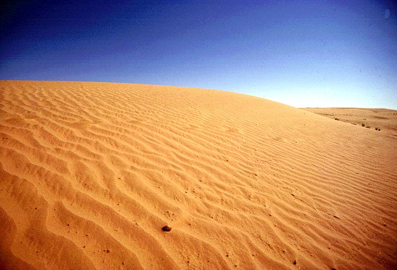 desert Il n’existe aucun chemin (Hélène Dorion)