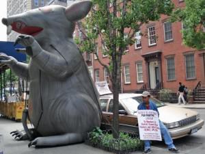 rat géant Le rat est-il l’avenir de l’homme ?