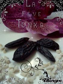 Salade acidulée au crabe et participation à un concours feve