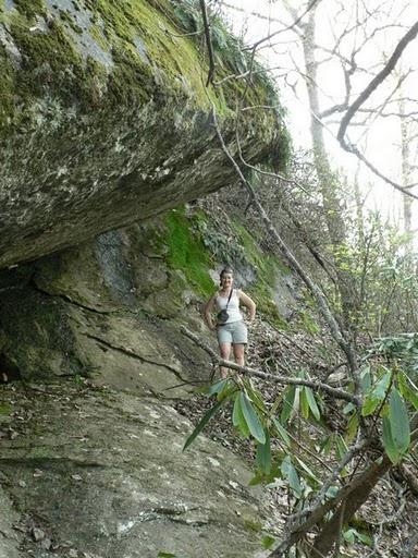 Une Randonnée Pleine de Surprises Vers Little Pisgah