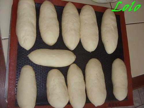 PAninis.. paninin0.jpg