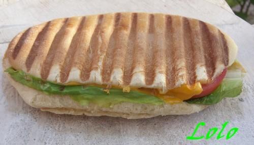 PAninis.. panini1.jpg