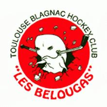 toulouse blagnac hockey