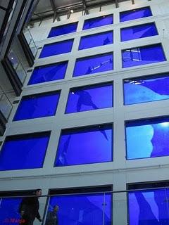 Petit tour sur l'île Petit tour sur l'île