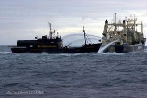 S'opposer à la rage de tuer et de détruire news_100412_1_3_100208_Steve_Irwin_meets_Bob_Barker_in_front_of_whalers_01__GL3804_