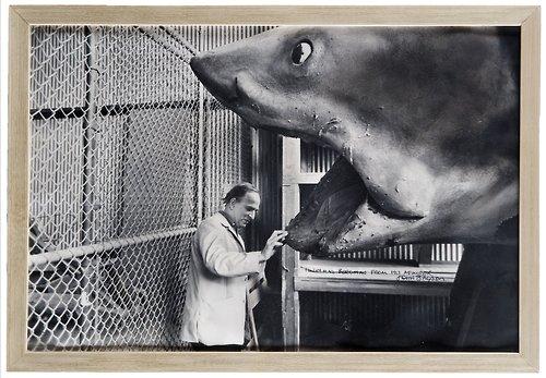 Ingmar Bergman and the shark from “Jaws” / Hollywood / 1975 /... Ingmar Bergman and the shark from “Jaws” / Hollywood / 1975 /...