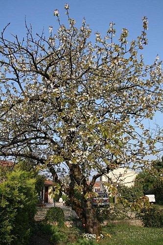 Week end chez Papi 02