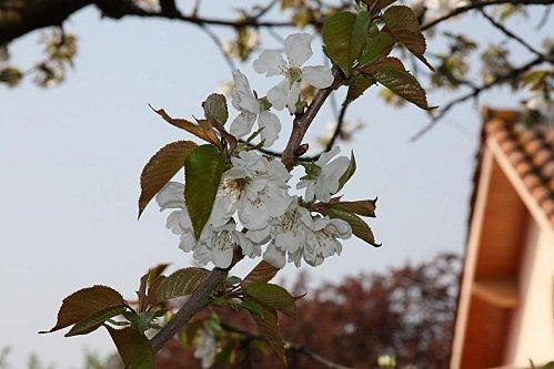 Week end chez Papi 03