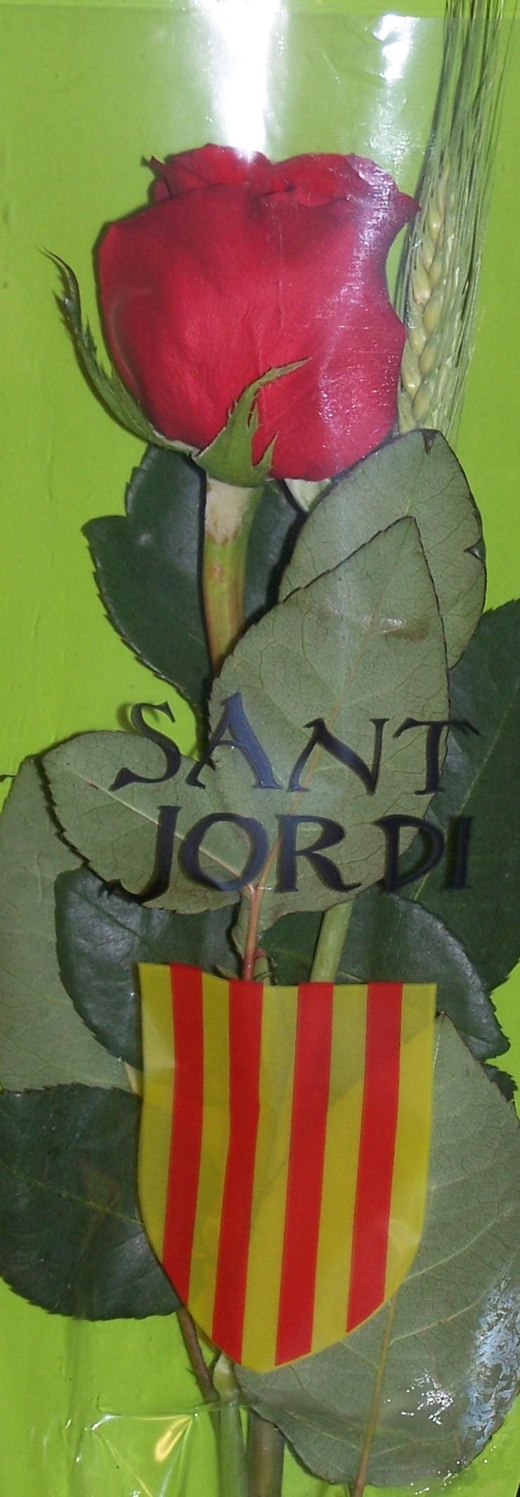 Une rose pour Sant Jordi - Barcelone