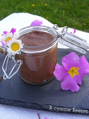 Petit pot de crème au Nutella et ses grissinis pralin-Nutella DSCF9337