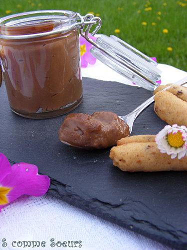 Petit pot de crème au Nutella et ses grissinis pralin-Nutella DSCF9344