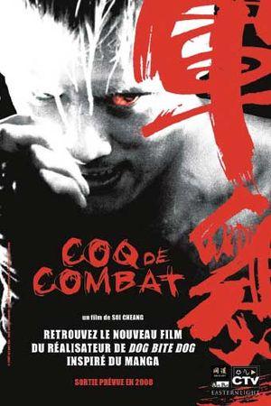 Coq de combat Coq_de_combat