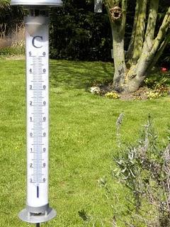 White... Et écrevisse. White... Et écrevisse.