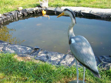 vive le printemps et le retour du beau temps! 100_9500