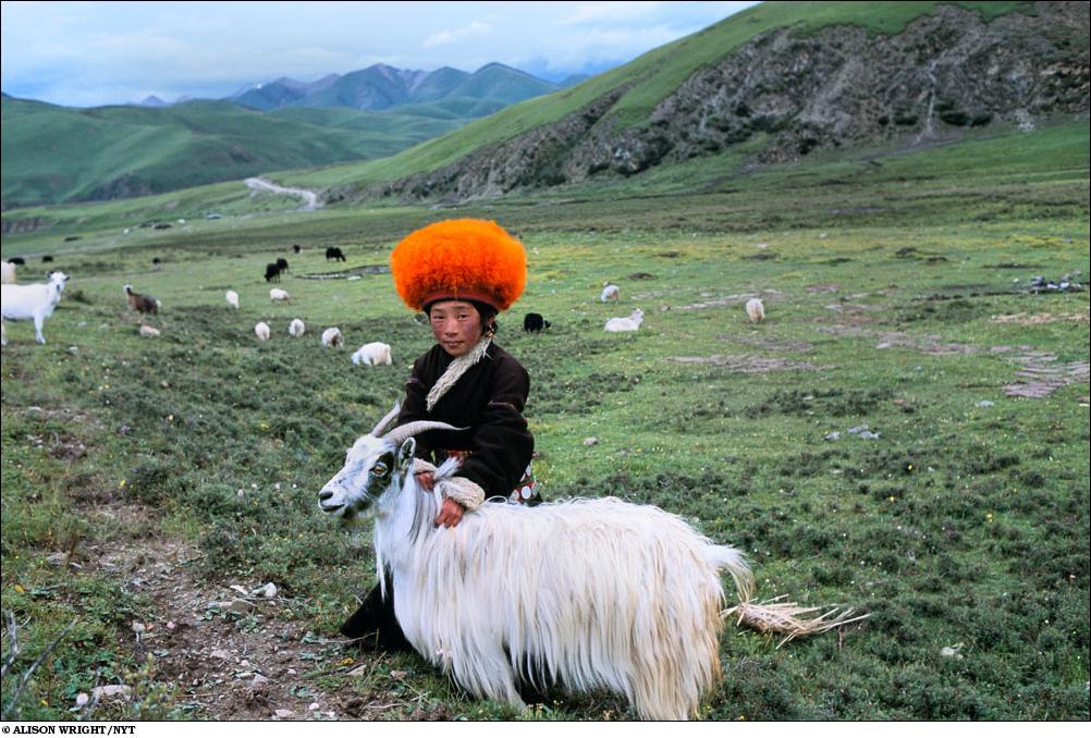 Nomades tibétains