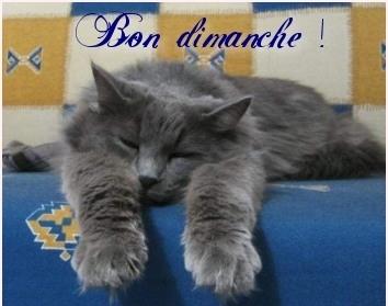 Magnifique prix de chez Natt http://a21.idata.over-blog.com/2/60/38/95/messages-pour-mes-amis--es-/bon-dimanche.jpg