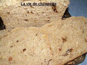 PAIN BLANC AU NOIX-FIGUES-RAISINS-PRUNEAUX 022