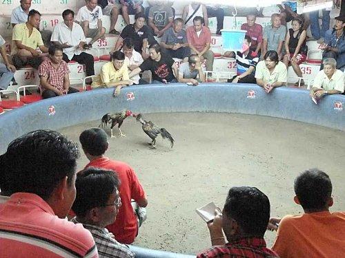 Dimanche 25 avril: Sortie du Club Francophone d’Isan. DSCF4181-1