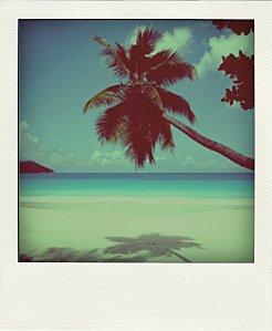 Sous le soleil.... soleil1-pola.jpg