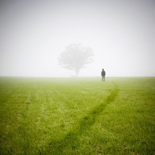 Lauréats du concours Un Rêve en Vert Lauréats du concours Un Rêve en Vert