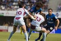 Montpellier Rugby... merci les p'tits gars !!!