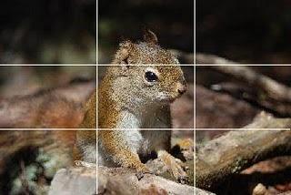 règle des tiers non respectées regle des tiers photographie numerique