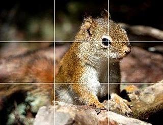 règle des tiers respectées regle des tiers photographie numerique