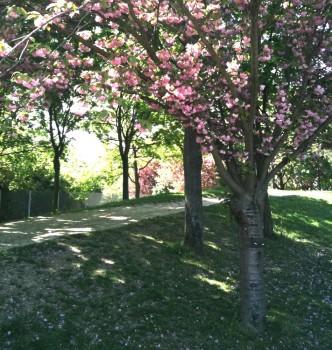 Parc Suzanne Lenglen 102ème sortie – Lenglen dernière