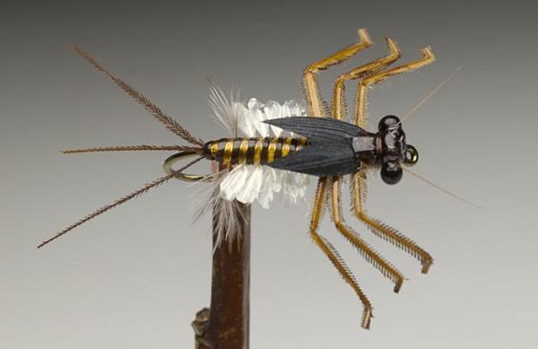 category_04_internet FLY TYING COMPETITION 2010