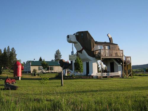 dog-bark-park dog-bark-park