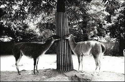 Complémentaires Complémentaires