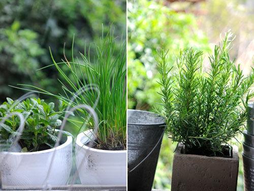 Tarte gourmande… en plein dans le mille ! _DSC4378_copie