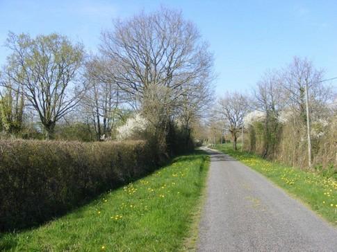 Desperate Housewife. Happy Housewife. Desperate Housewife. Happy Housewife.