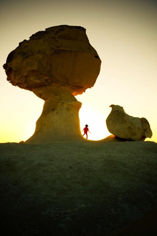 Concours le Monde de Demain, et les lauréats sont ... Concours le Monde de Demain, et les lauréats sont ...