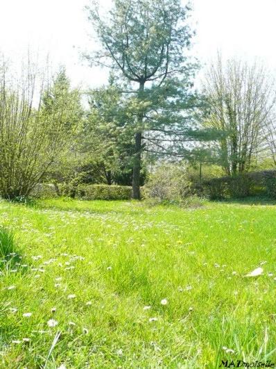 Allongée dans l'herbe... Allongée dans l'herbe...