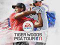 Tiger Woods Wii : des putts et des trous