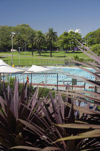 La meilleure pistoche au monde… La meilleure pistoche au monde…