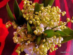 Perunasalaatti * Salade de pommes de terre Kielot