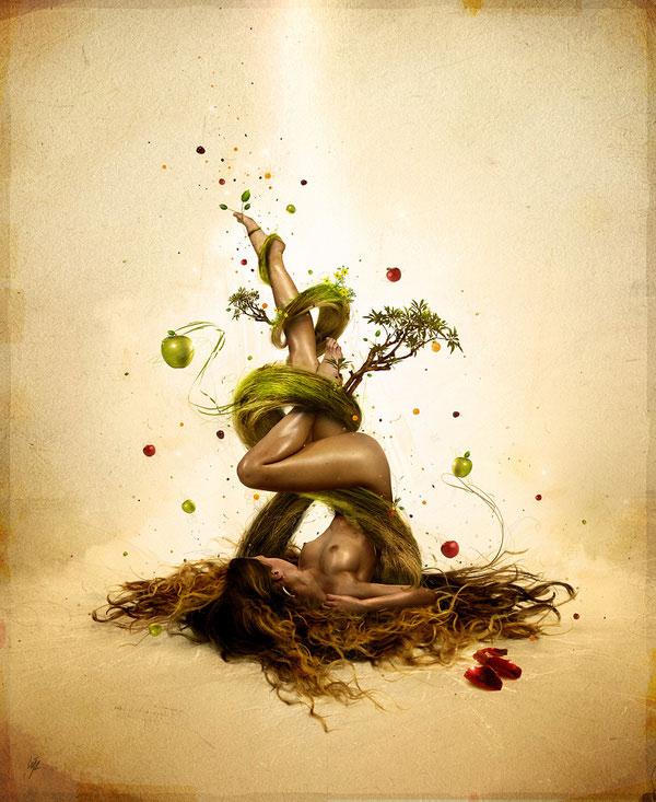 Attentions 20 visuels avec des effets dynamiques incroyables !
