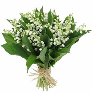 TAJINE DE POULET AUX AMENDES , RIZ PARFUME ....... gmuguet08.gif